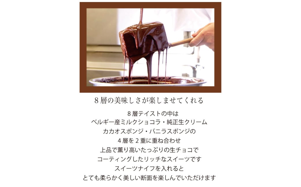 【全2回定期便】 長崎石畳ショコラ ハーフサイズ1個 ／ 合計2個 ケーキ スイーツ ご当地スイーツ グルメ チョコ チョコレート グルメ