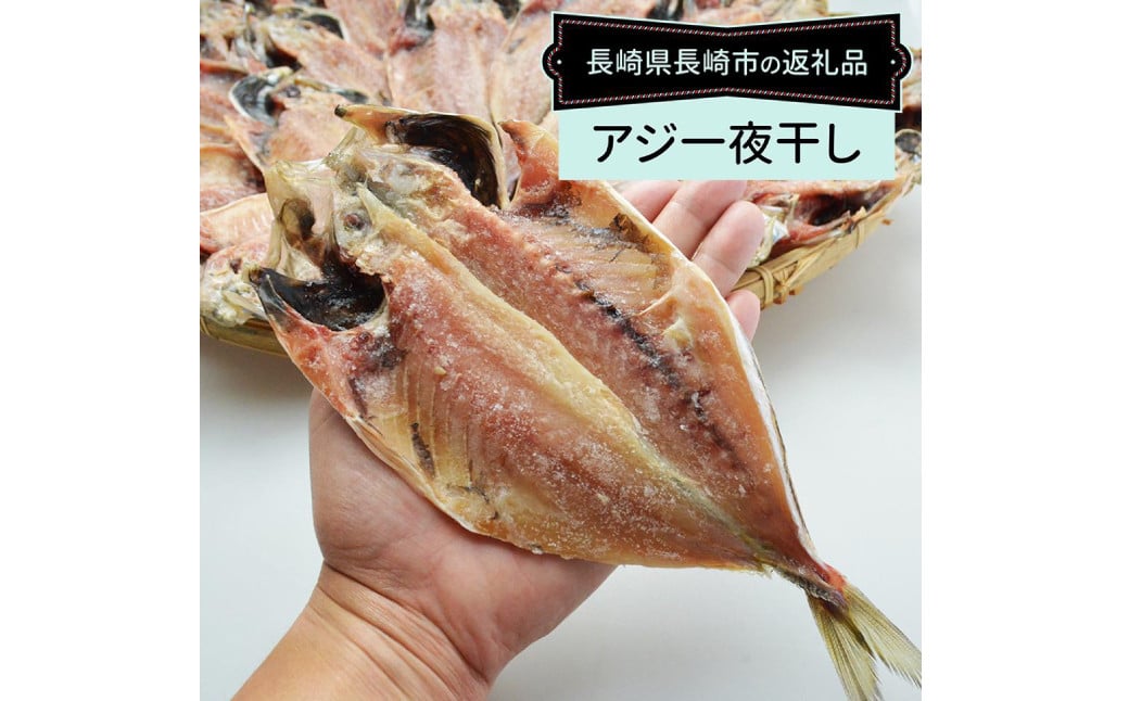 【全6回定期便】【最長2ヵ月前後】長崎産 真アジ一夜干し たっぷり21尾 ／ 海鮮 魚介 干物 ひもの あじ 鯵 アジ 長崎県 長崎市