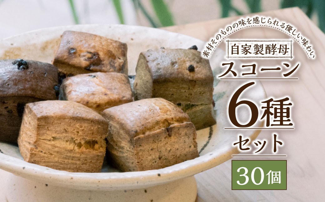 スコーン6種セット 30個入 ／ 合計約1200g スコーン 洋菓子 焼菓子 焼き菓子 お菓子 菓子 おやつ 詰め合わせ 長崎県 長崎市