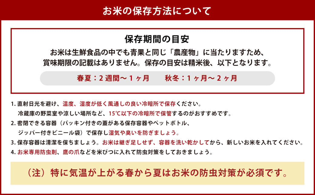 【令和6年産】 新米  無洗米 長崎 こしひかり 計5kg ( 2.5kg×2袋 ) 米 お米 こめ コメ