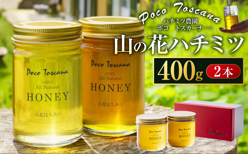 山の花 ハチミツ 400g瓶 × 2本 セット 合計800g はちみつ  蜂蜜 ハニー 非加熱 長崎