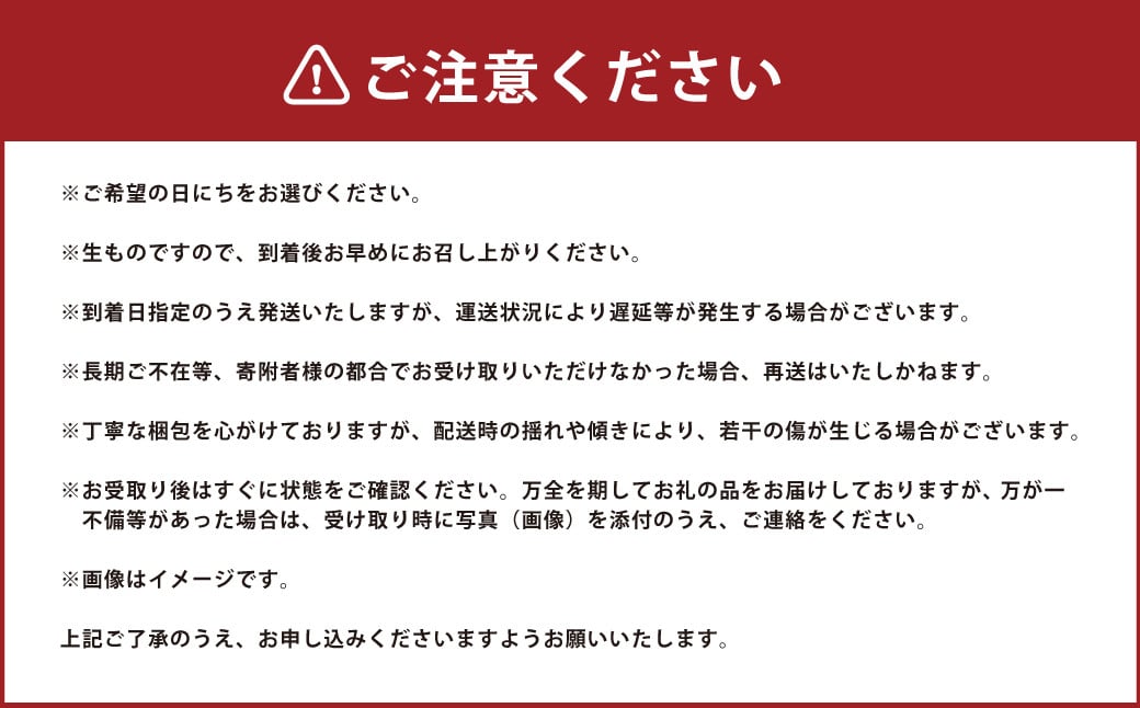 【2024年12月21日着】【クリスマス用・数量限定】長崎県産いちご ゆめの香 【大粒！】約1kg (250g×2パック入×2箱) ／ イチゴ 苺 フルーツ 果物 くだもの わたる農園 長崎県 長崎市