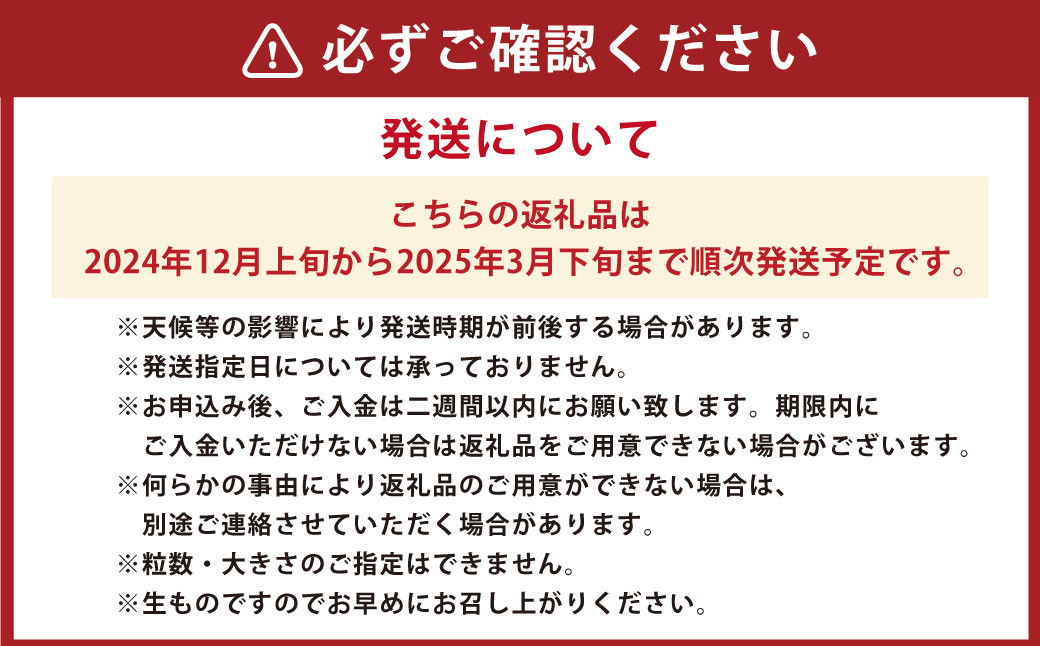 マイヤーレモン 約2kg 【2024年12月上旬～2025年3月下旬発送予定】 レモン れもん 檸檬 果物 くだもの フルーツ 国産 長崎県 長崎市