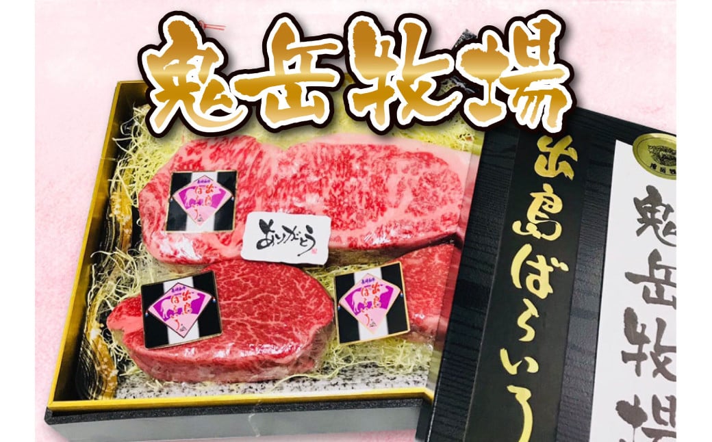 【全3回定期便】長崎和牛 出島ばらいろ レギュラータイプD ／ 和牛 お肉 肉 牛肉 国産 ミスジ ヒウチ 焼肉 焼き肉 BBQ バーベキュー アウトドア サーロイン ブロック ヒレ 長崎県 長崎市