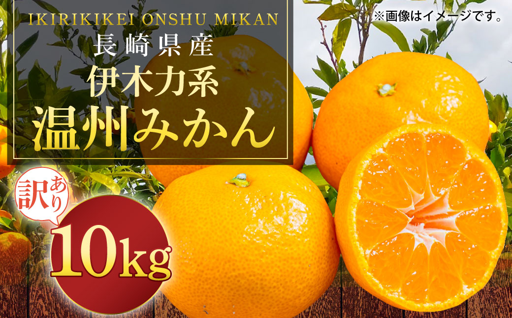 長崎県産 訳あり 伊木力系温州みかん10kg ／ 果物 くだもの フルーツ 柑橘 蜜柑 ミカン 温州みかん 青果品 国産 大将農園 長崎県 長崎市 【2025年11月下旬〜2026年1月下旬迄発送予定】