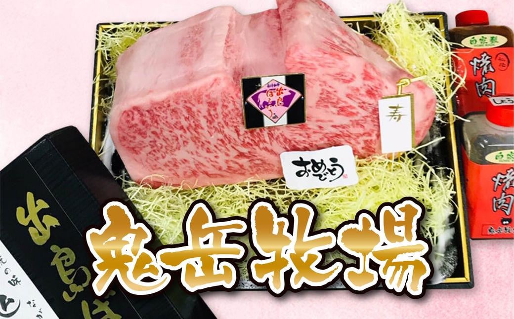 【全2回定期便】長崎和牛 出島ばらいろ レギュラータイプ I ／ 和牛 お肉 肉 牛肉 国産 シャトーブリアン ブロック サーロイン ミガキ ステーキ 長崎県 長崎市