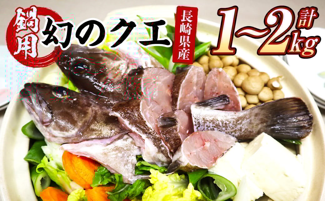 長崎の森で育てた『幻のクエ』 鍋用 5～6人前（1kg～2kg前後） くえ 海鮮 魚介類 魚 お魚