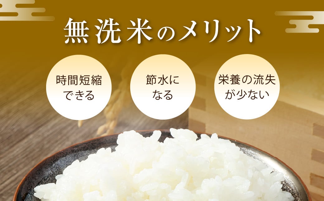 【令和7年産】無洗米 特別栽培米 長崎つや姫 計10kg（2.5kg×4袋） ／ お米 米 おこめ コメ ご飯 ごはん 白米 長崎県産