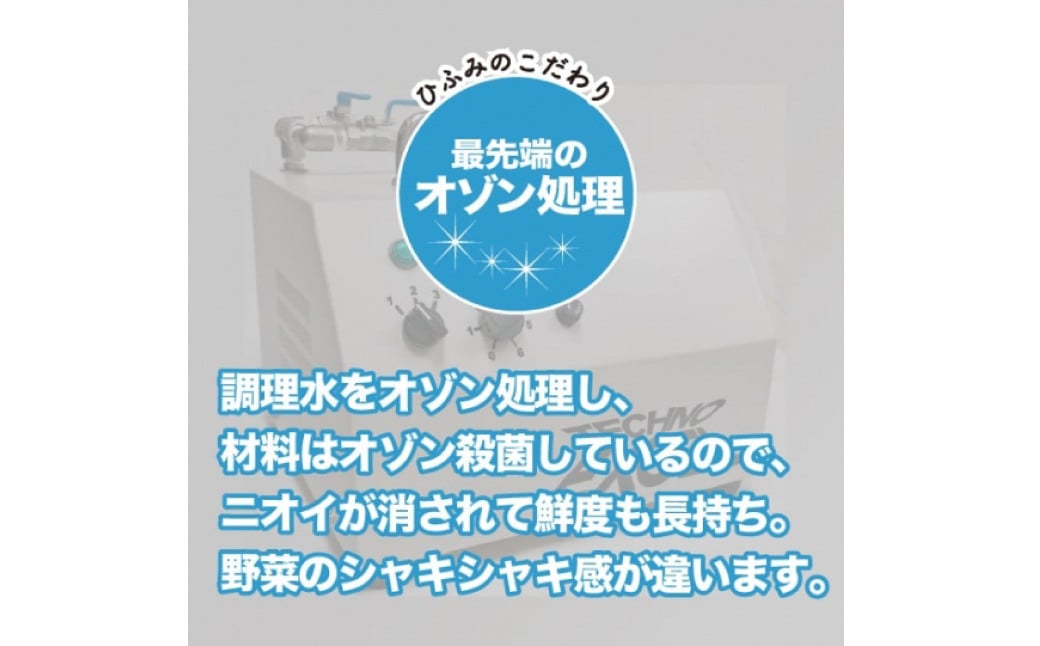 【全3回定期便】《具材付》長崎冷凍皿うどん 総計30食(10食×3回) 揚げ麺 簡単調理 具材付き 長崎