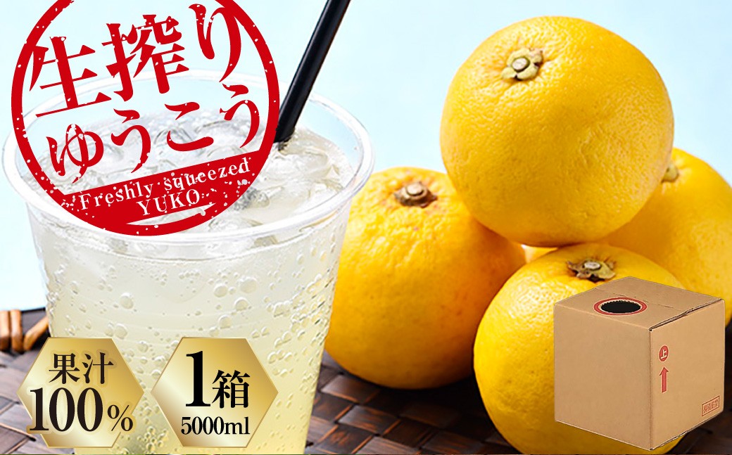 生搾りゆうこう果汁100％ ／ 飲料 調味料 果汁 ジュース 果物 フルーツ 柑橘