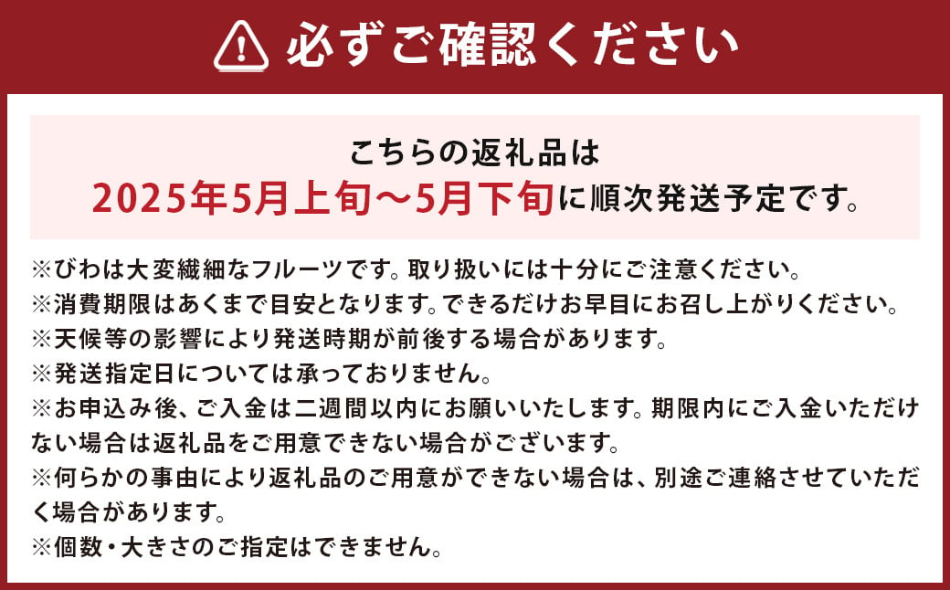 【数量限定】 長崎 茂木びわ（枝付き） 赤秀 計約2kg 【2025年5月上旬～2025年5月下旬迄発送予定】 びわ 枇杷 ビワ 果物 くだもの フルーツ 長崎県 長崎市