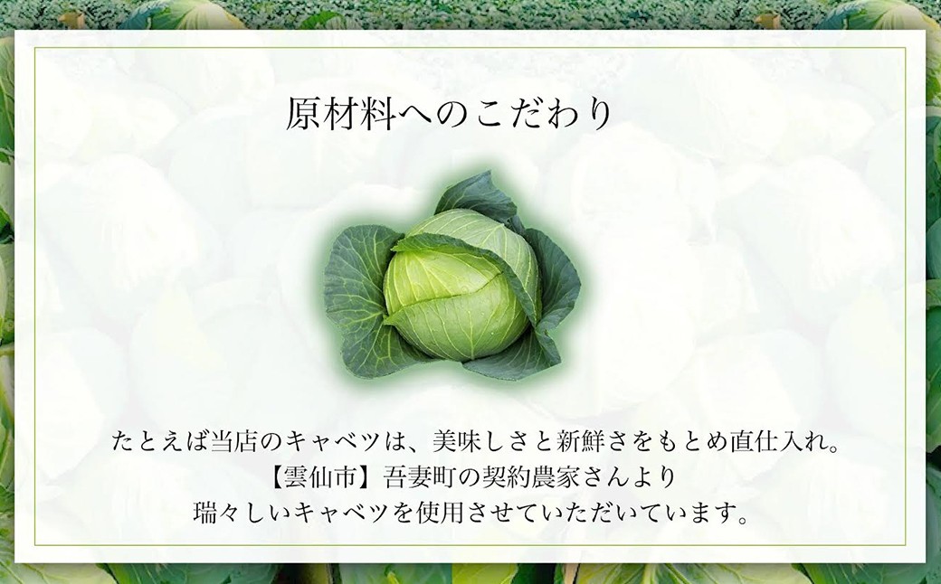 【全3回定期便】 《具材付》長崎冷凍ちゃんぽん 総計12食 (4食×3回) ／ チャンポン 麺 麺類 簡単調理 ちゃんぽん 長崎ちゃんぽん 長崎名物 ご当地 ひふみ 長崎県 長崎市 