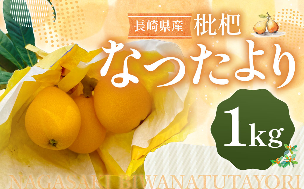 先行予約 枇杷「なつたより」1kg ／ 果物 くだもの フルーツ ビワ びわ 長崎県 長崎市 オンライン決済限定 【2026年5月上旬～下旬迄発送予定】