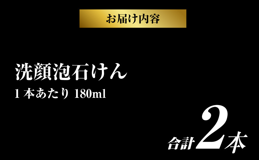 洗顔泡石けん 180ml 2本