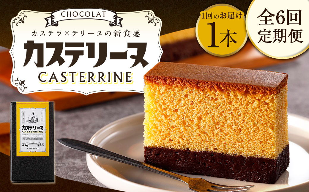 【全6回定期便】長崎カステリーヌショコラ 1本 合計6本 ／ スイーツ デザート カステラ おかし 菓子 おやつ チョコレート ショコラ テリーヌ ご当地スイーツ かすてら テリーヌ 長崎県 長崎市
