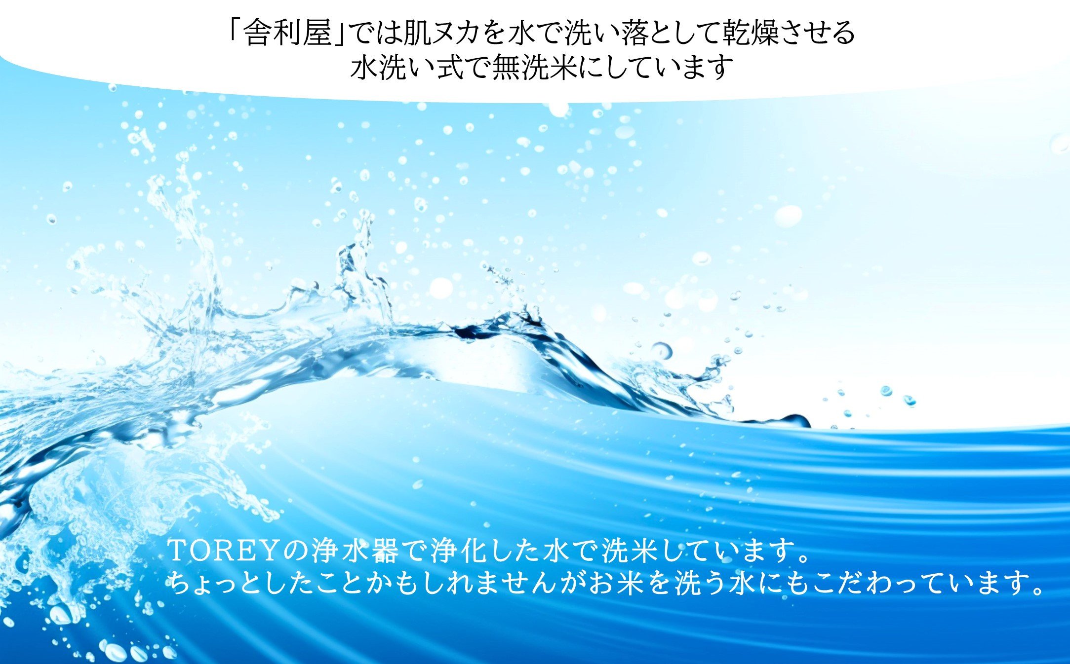 【令和6年産】無洗米 長崎 こしひかり 計10kg（5kg×2袋）  ／ お米 米 こめ コメ コシヒカリ