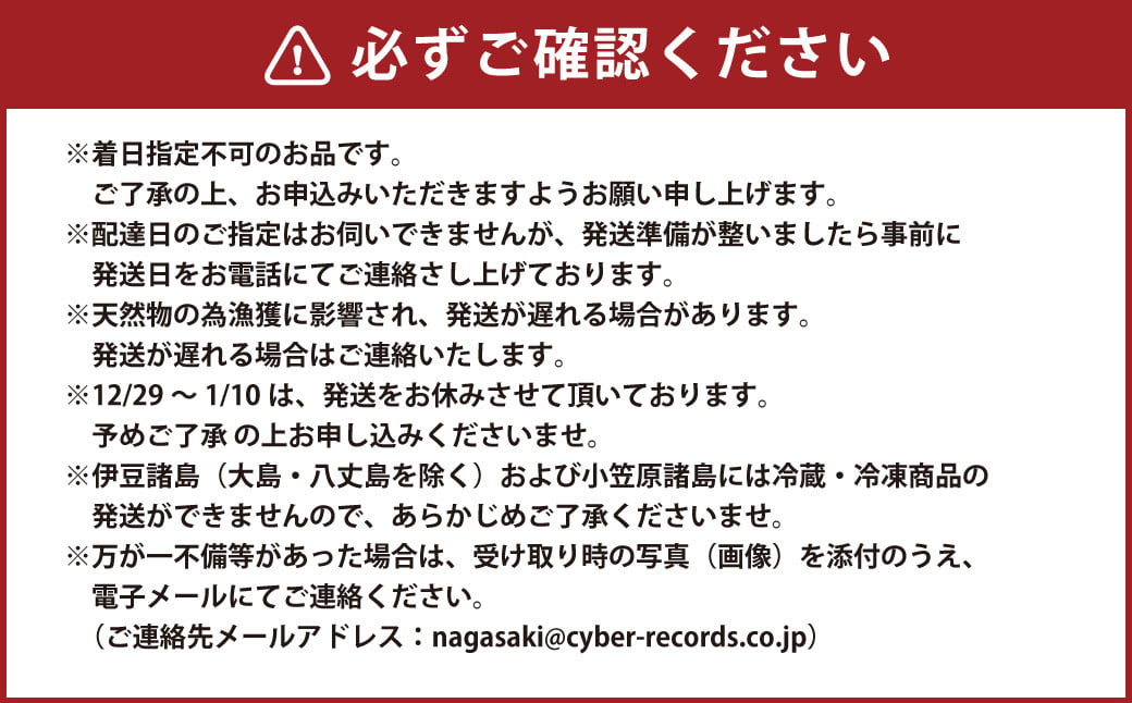 活 伊勢海老 (イセエビ)  大型 2～3尾入り 1.5kg 伊勢エビ エビ 海老 新鮮 【2024年9月下旬発送開始予定】