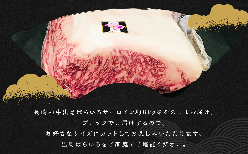 出島ばらいろ サーロイン レディーカット 計約8kg 長崎和牛 国産 和牛 牛肉 国産牛 お肉 肉