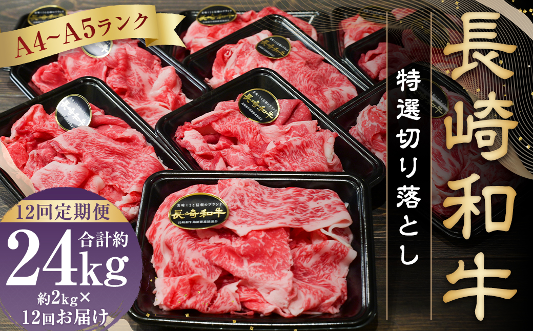 【全12回定期便】【A4〜A5ランク】長崎和牛特選切り落とし 約2kg (200g×10パック) 牛肉 肉 牛 和牛 国産牛 国産 長崎和牛 すき焼き 焼肉 バーベキュー 小分け 冷凍 長崎