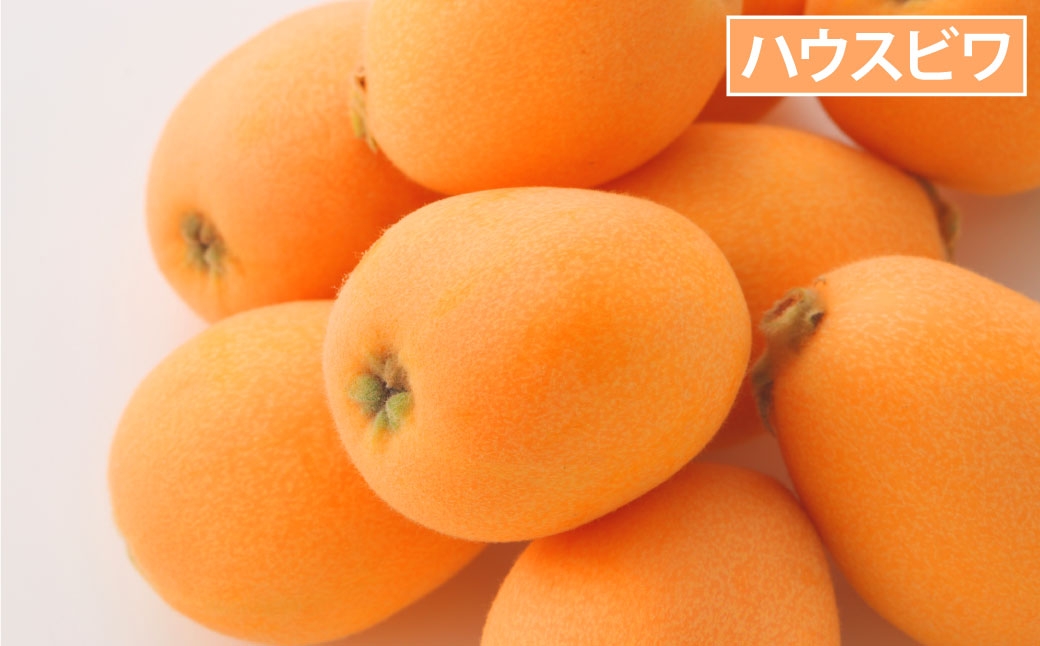 【 年7回定期便 （ 1月 ・ 2月 ・ 3月 ・ 4月 ・ 6月 ・ 8月 ・ 9月配送 ） 】 長崎 旬のフルーツ 定期便 ライト シャインマスカット ・ 巨峰 ・ ハウス桃 ・ びわ ・ 柑橘 果物 くだもの フルーツ 果実 ぶどう マスカット 桃 ビワ 柑橘類 長崎県産