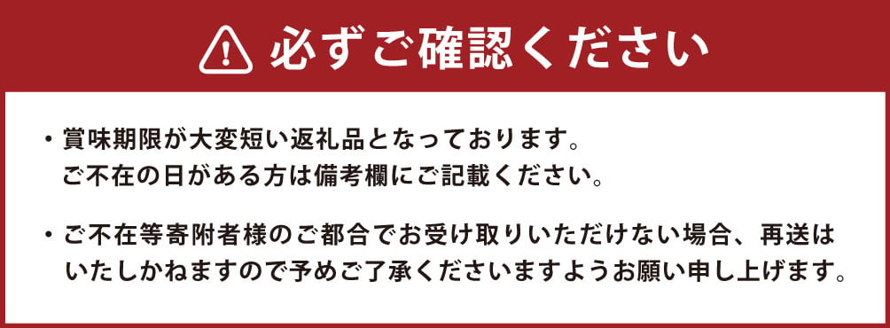 ハウス巨峰 1.2kg（300g×4パック） ブドウ 葡萄 巨峰 果物 くだもの フルーツ 果実 デザート  【2025年7月下旬-9月上旬発送予定】