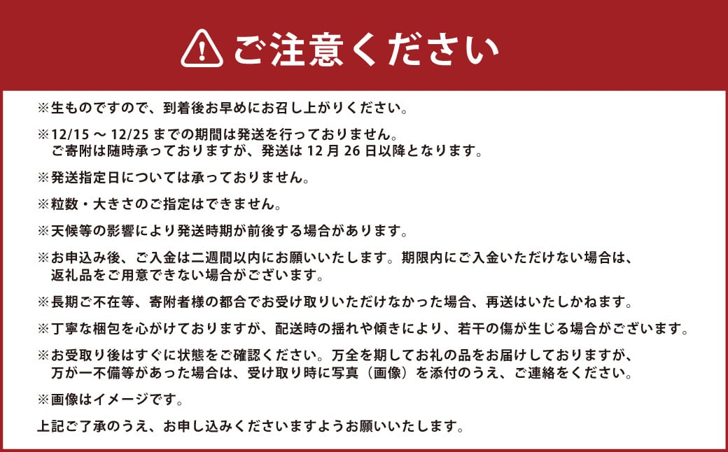 【贈答用】いちご ゆめの香 計30粒（15粒×2パック）化粧箱入 ／ イチゴ 苺 フルーツ 果物 くだもの わたる農園 長崎県 長崎市 【2024年11月下旬〜2025年5月下旬発送予定】