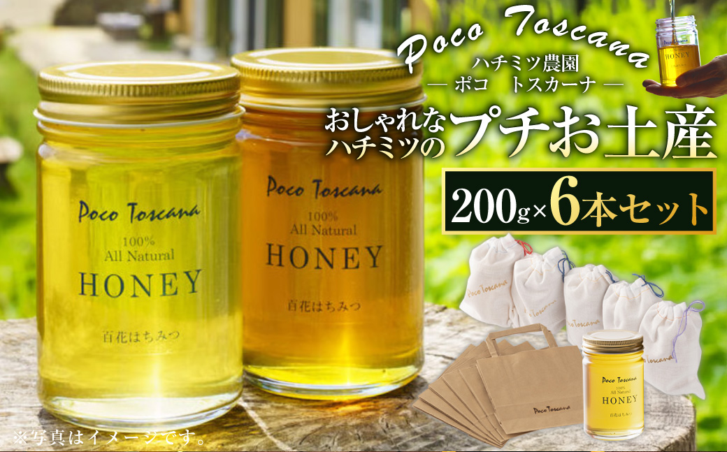 おしゃれなハチミツのプチお土産 200g瓶×6本セット 合計1.2kg ／ 蜂蜜 はちみつ 非加熱 国産 非常食 長期保存 長崎県 長崎市