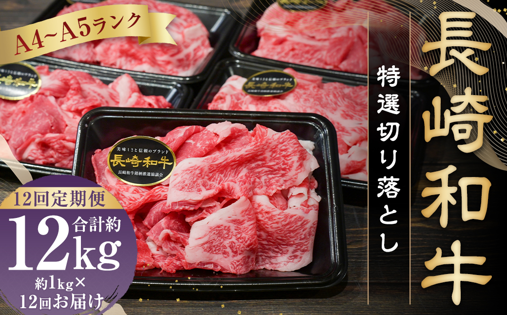 【全12回定期便】【A4〜A5ランク】長崎和牛 特選 切り落とし 約1kg (200g×5パック) お肉 牛肉 肉 牛 和牛 国産牛 国産