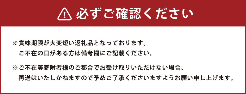 秀品 いちご 「 琴乃香 」 厳選 20粒 （ 10粒 ×2パック） イチゴ 苺 果物 フルーツ 【2025年1月下旬-3月上旬発送予定】