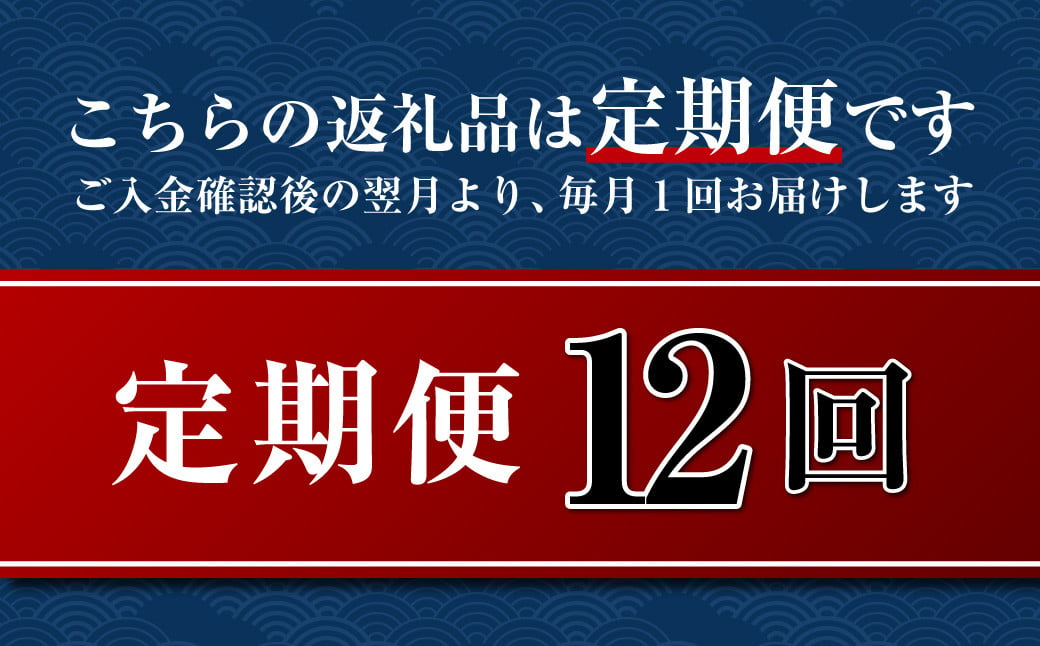 【全12回定期便】長崎五島灘一汐干し 合計12枚 干物 ひもの 海鮮 魚介