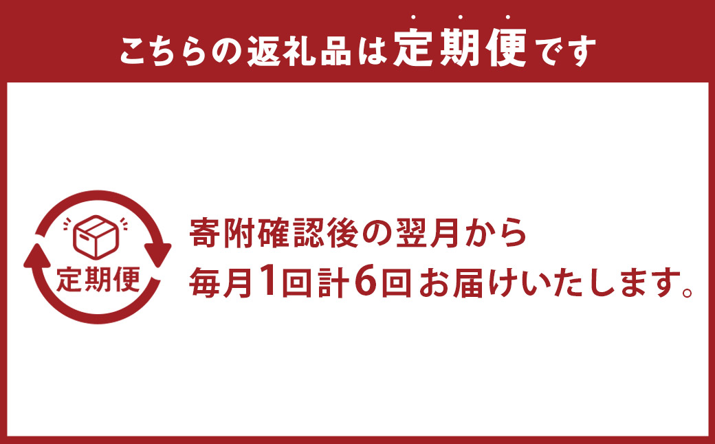 【全6回定期便】 おまかせフラワーアレンジメント 【L】 ／ 長崎県産 お花 花 ギフト
