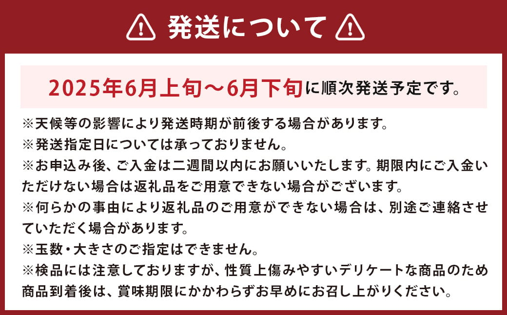 長浦すいか（M玉以上）1玉【2025年6月上旬～6月下旬迄発送予定】長浦スイカ すいか スイカ 西瓜 果物 フルーツ 季節の果物 長崎県産 長崎市産 長崎県 長崎市 常温