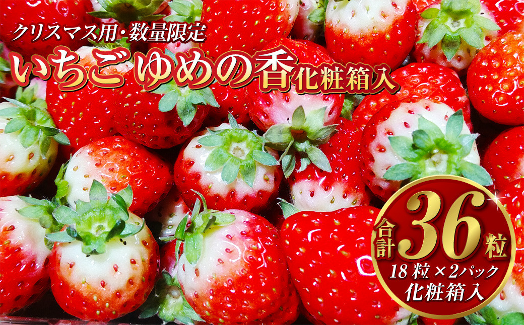 【12月25日着】  いちご ゆめの香 36粒 （18粒×2パック） 化粧箱入 【クリスマス用・数量限定】【贈答用】 ｜ イチゴ 苺 ゆめの香 フルーツ 果物 クリスマス 贈答用 ギフト 