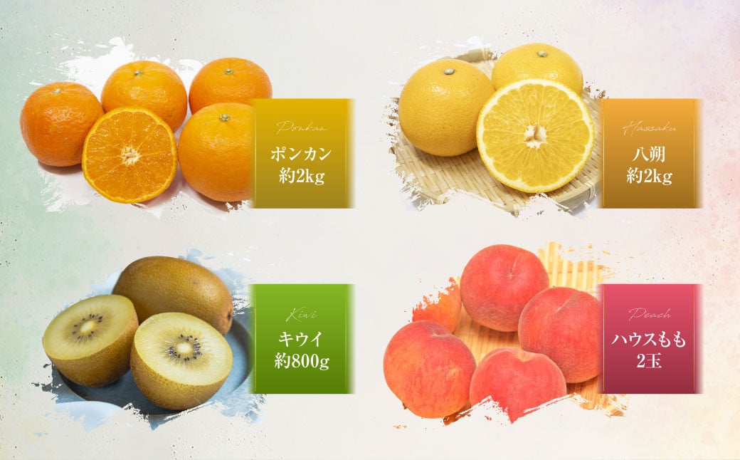 【年4回定期便(2月・5月・8月・11月配送)】旬のフルーツ定期便 食べ比べセット 季節により厳選した果物を2品目詰め合わせ ／ 果物 くだもの 長崎県 長崎市