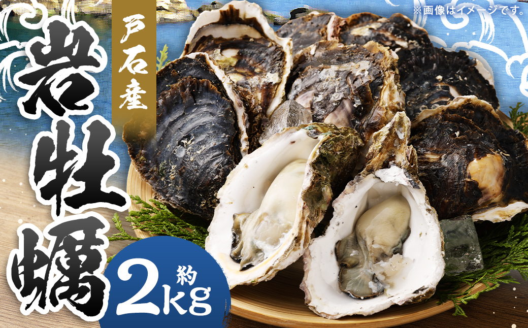 【指定日時必須】戸石産 岩牡蠣 計約2kg（生食用／カキナイフ付き）【2026年5月8日～8月31日迄発送予定】 牡蠣 カキ イワガキ 生牡蠣 長崎県 長崎市