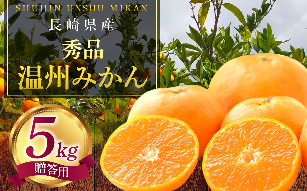 長崎県産 秀品温州みかん 5kg (贈答用可) ／  果物 フルーツ 柑橘 蜜柑 ミカン 温州みかん 秀品 贈答 ギフト プレゼント 国産 大将農園 長崎県 長崎市 【2025年12月上旬〜2026年1月下旬迄発送予定】