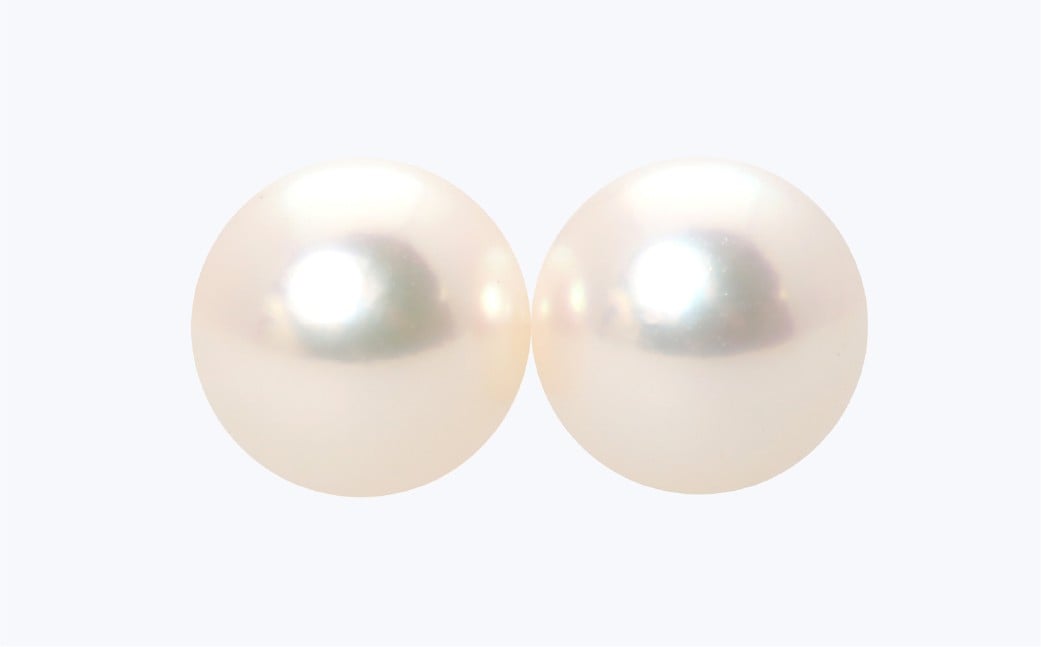 あこや真珠 (約7.5mm珠) ピアス K14ホワイトゴールド ／ ジュエリー アクセサリー パール 長崎県 長崎市