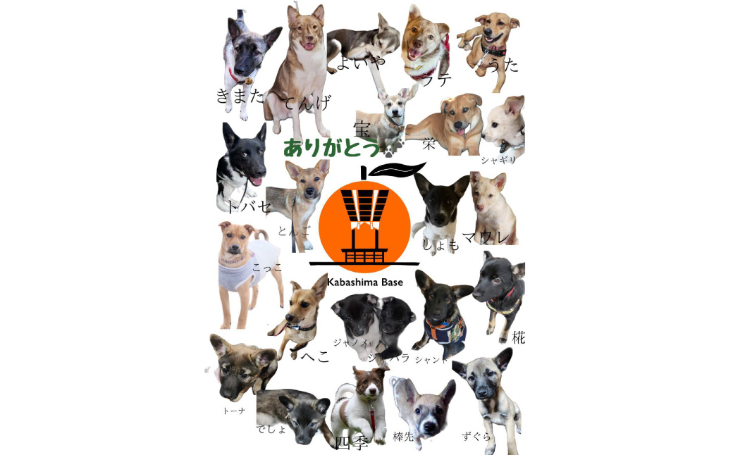 【11月上旬～1月上旬発送】長崎県産 訳あり 早生みかん10kg (ご自宅用) ／ 果物 フルーツ 柑橘 蜜柑 ミカン 温州みかん 早生 訳アリ ワケアリ わけあり 理由あり 国産 大将農園 長崎県 長崎市