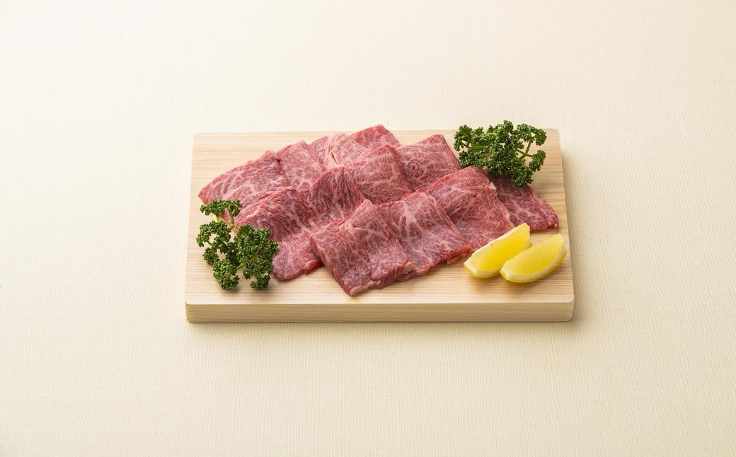 長崎和牛 焼肉 カルビ 約500g ／ 国産 肉 牛肉 和牛 お肉 焼き肉 BBQ 長崎県 長崎市