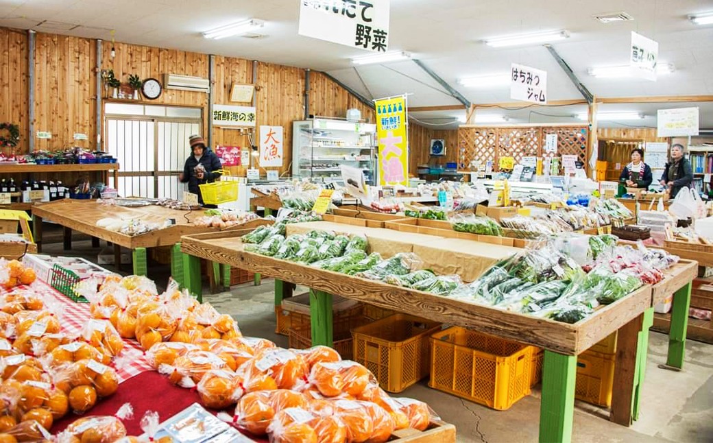 ãå°å
æ°ãæããå¹»ã®ãããã é·æµŠããã ïŒLç以äžïŒ6kgïœïŒ ã2026幎6æäžæ¬ïœ6æäžæ¬è¿çºéäºå®ã çŽæµ· ææ± 飿 æ¬ ããã ã¹ã€ã« è¥¿ç æç© ãã ãã® æå® ãã«ãŒã åžå°