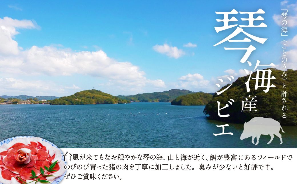 【7営業日以内発送】猪肉 切り落とし 200g×3 ／ 猪 イノシシ いのしし ジビエ 細切れ 長崎県 長崎市