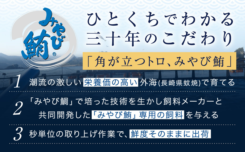 本マグロ 大賞受賞 みやび鮪 たたき 計約600g (約6～7人前) ／ 鮪 まぐろ マグロ 刺し身 刺身 本まぐろ 本鮪 冷凍 魚 魚介 タタキ まぐろタタキ 海鮮丼 おすすめ 長崎市