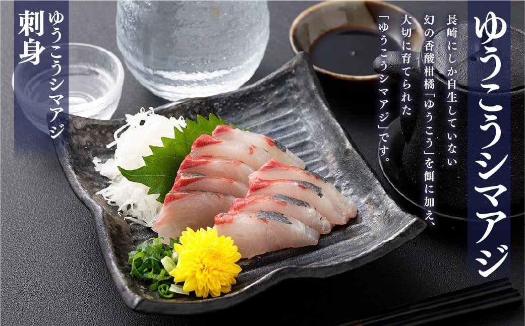 【14営業日以内発送】【premiumfishbrand】 ゆうこうシマアジ （活〆） ×1尾 （約1kg） 、 ゆうこう真鯛 （活〆） ×1尾 （約1.5kg） ／ シマアジ しまあじ 鯵 アジ あじ 真鯛 真鯛 マダイ まだい 鯛 タイ たい ゆうこう ブランド魚 魚 海鮮 九州 長崎県 長崎市 冷蔵