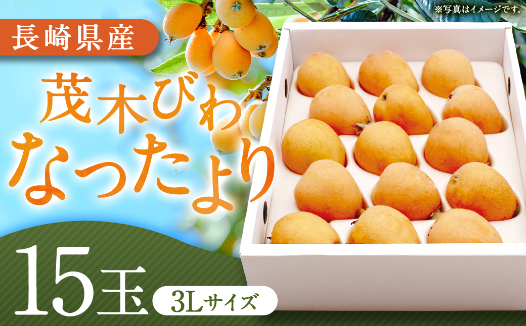 先行予約 茂木 びわ 『なつたより』 3Lサイズ 15玉 入り 【2026年5月下旬～6月上旬迄発送予定】 ／ 果物 くだもの フルーツ 枇杷 ビワ 長崎県 長崎市 川口農園 アフター保証