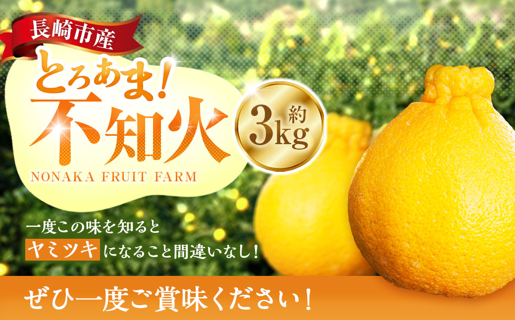 å
è¡äºçŽ äžç¥ç« çŽ3kgã»ãã ïŒ å£ç¯éå® ææ© ããã〠ããã¬ã ãã«ãŒã æç© é·åŽç é·åŽåž éäžææš¹å ãªã³ã©ã€ã³æ±ºæžéå® ã¢ãã¿ãŒä¿èšŒ ã2026幎3æäžæ¬-äžæ¬è¿çºéäºå®ã