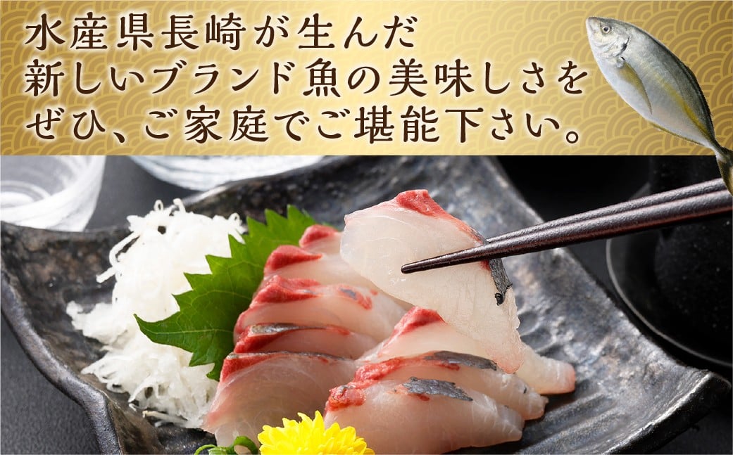 【14営業日以内発送】【premiumfishbrand】 ゆうこうシマアジ （活〆） ×1尾 （約1kg） シマアジ しまあじ 鯵 アジ あじ ゆうこう ブランド魚 魚 海鮮 九州 長崎県 長崎市 冷蔵