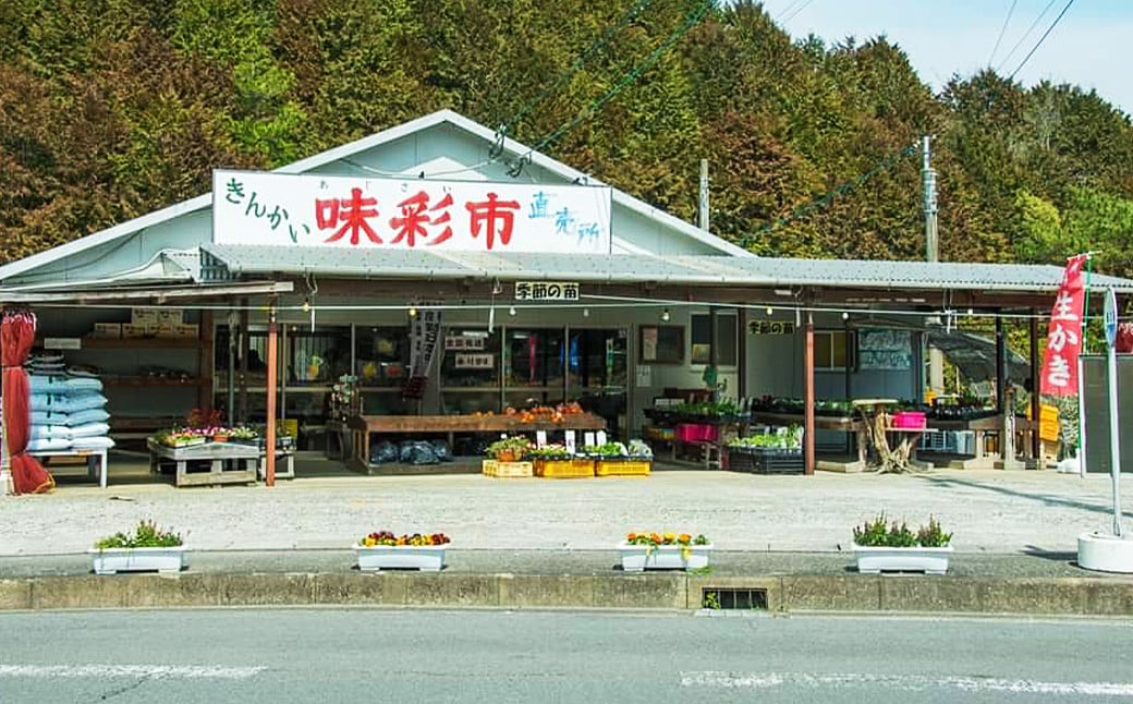 長浦すいか（M玉以上）1玉【2025年6月上旬～6月下旬迄発送予定】長浦スイカ すいか スイカ 西瓜 果物 フルーツ 季節の果物 長崎県産 長崎市産 長崎県 長崎市 常温