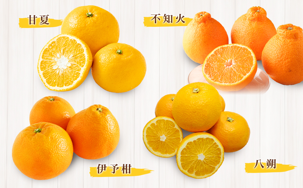 【全3回定期便】春冬限定 柑橘 お楽しみ定期便 みかん ポンカン 不知火等 ／ 早生みかん 中生みかん 甘夏 八朔 伊予柑 果物 フルーツ 長崎 九州 定期便 【2025年11月上旬～2026年3月下旬迄発送予定】