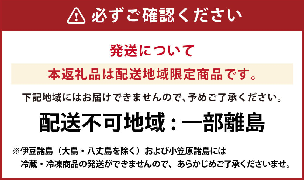 【全12回定期便】長崎皿うどん6食セット リンガーハット 乾麺 具材付き 冷凍 簡単調理