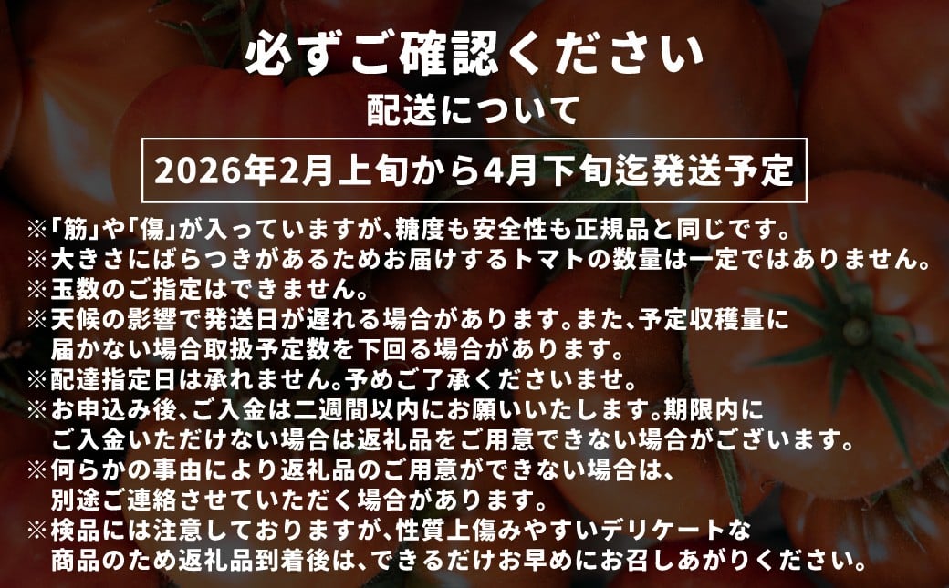 【訳あり】 たかしまトマトシリーズ 【糖度6度以上】 「かもめのトマト」 約3kg箱×1 ／ トマト とまと 野菜 やさい サラダ 料理 【2026年1月下旬～4月下旬発送予定】